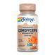 Ферментований Кордицепс, Fermented Cordyceps 1000mg - 60 vcaps 2023-10-2149 фото 1