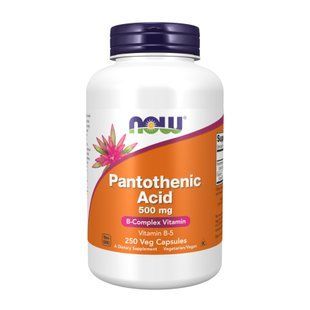 Пантотеновая кислота, Pantothenic Acid 500 mg - 250 vcaps 2023-10-2514 фото