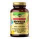 Экстракт Смолы Босвеллии, SFP Boswellia Resin Extract - 60 vcaps 2022-10-1556 фото 1