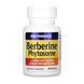 Фитосомы берберина, Berberine Phytosome - 60 caps 2023-10-3993 фото 3