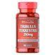 Трибулус Террестріс, Tribulus Terrestris 250 mg - 90 caps 100-38-9757836-20 фото 1