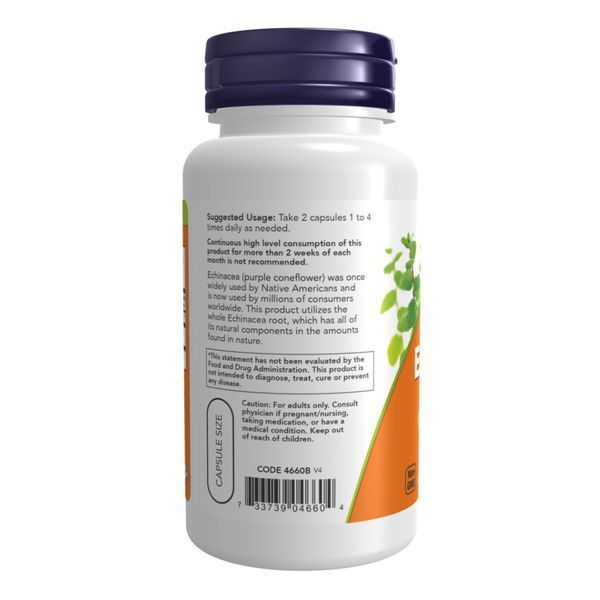 Ехинацея, Echinacea 400 mg - 100 vcaps 2022-10-2641 фото