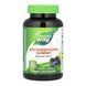 Ашвагандха, Ashwagandha Gummy - 90 gummies 2023-10-4679 фото 1