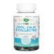 Успокаивающее средство для детей от 8 лет, Cool, Calm, Collected - 40 gummies 2023-10-4005 фото 1