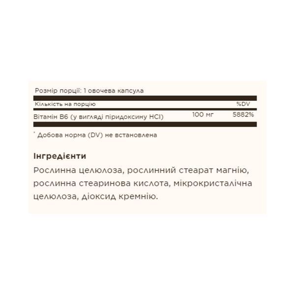 Витамин Б6, Vitamin B6 100mg - 100 vcaps 2023-10-3684 фото