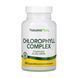 Хлорофіл високої концентрації, Chlorophyll 600mg - 90 vcaps 2023-10-3226 фото 1