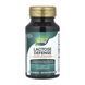 Ензим для засвоєння молочних продуктів Лактаза Nature's Way (Lactase Enzyme) &mdash; 100 капсул 2023-10-6388 фото 1