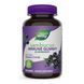 Черная бузина с витамином C и Цинком. Sambucus Immune Support - 60 gummies 2022-10-1101 фото 1