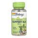 Кора В'яза Іржавого, Slippery Elm Bark 400mg - 100 vcaps 2023-10-6729 фото 1