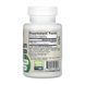 Мастикова смола, Mastic Gum 1000mg - 60 vcaps 2023-10-5590 фото 2