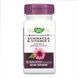 Ехінацея та Вітамін С, Echinacea & Vitamin C - 100 vcaps 2022-10-1080 фото 1