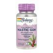 Екстракт мастикової смоли, Mastic Gum Extract 500mg - 45 vcaps