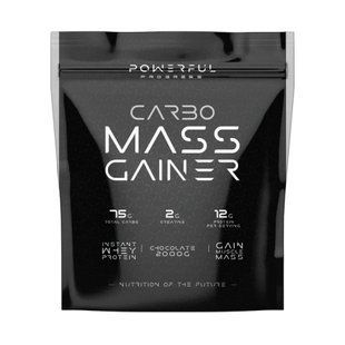Carbo Mass Gainer - 2000g 100-74-3035926-20 фото