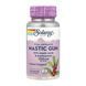 Екстракт мастикової смоли, Mastic Gum Extract 500mg - 45 vcaps 2023-10-5274 фото 1