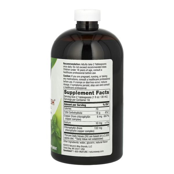 Рідкий хлорофіл, Chlorofresh&reg; Liquid - 16 oz Mint 2023-10-2173 фото