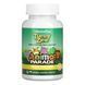 Дитячі травні ферменти Nature's Plus Kids Tummy Zyme &mdash; 90 жувальних таблеток 2024-11-0688 фото 1