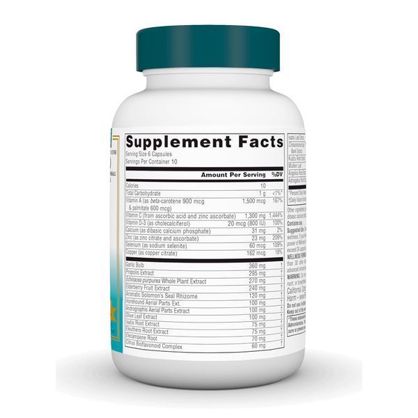 Wellness Formula&reg; - 60 caps 2023-10-6606 фото