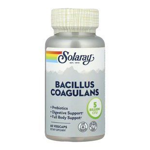 Bacillus Coagulans 5 Billion CFU - 60 vcaps 2023-10-6977 фото