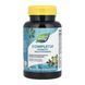 Мультивітаміни для діабетиків, Completia Diabetic (Iron-Free) - 90 tabs 2023-10-2776 фото 1