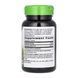 Плоды витекса, Vitex (Fruit) - 100 vcaps 2022-10-1113 фото 2