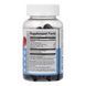Sambucus Elderberry + Vitamin C and Zinc Kids Sugar Free - 60 gummies 2023-10-7295 фото 2
