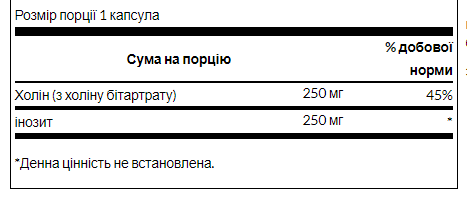 Холін та Інозитол, Choline Inos 250mg - 250caps 100-89-8861758-20 фото