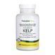 Ісландські бурі водорості, Kelp - 300 tabs 2023-10-2363 фото 1
