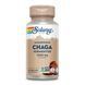 Гриб Чага, Fermented Chaga Mushroom 1000mg - 60 vcaps 2023-10-2144 фото 1
