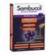 Immuno Forte Pastilles - 20 pastilles 2022-10-2769 фото 1