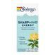 Ноотропний комплекс, SharpMind Nootropics Energy - 30 vcaps 2024-11-0251 фото 1