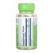 Корень Астрагала, Astragalus Root 400mg - 100 vcaps 2023-10-6713 фото 2