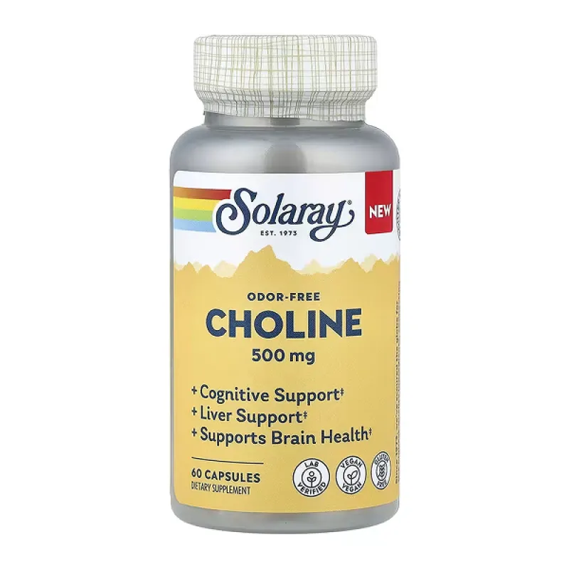 Choline 500mg - 60 caps