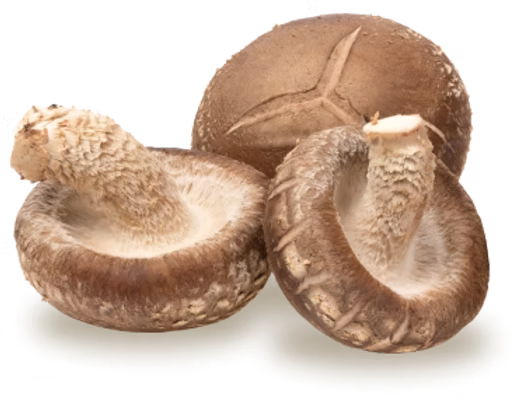 Shiitake Mushroom